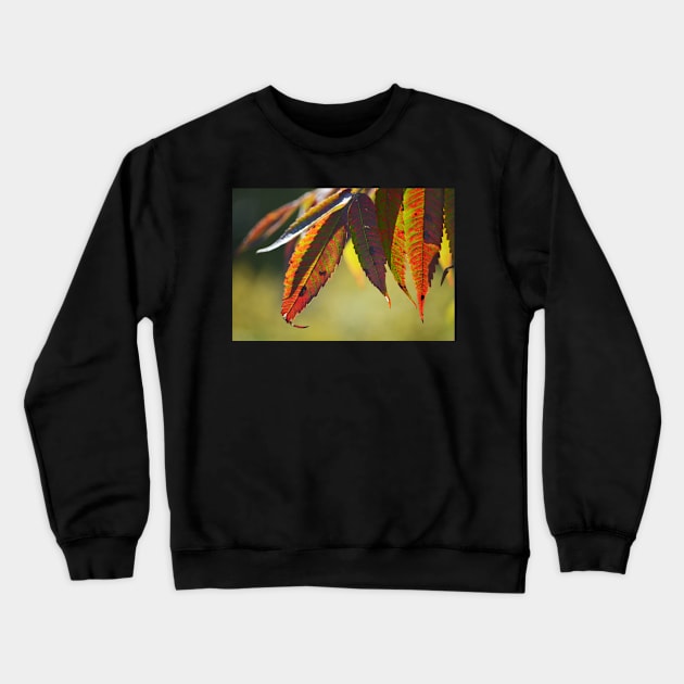 Nature's points of view Crewneck Sweatshirt by LaurieMinor